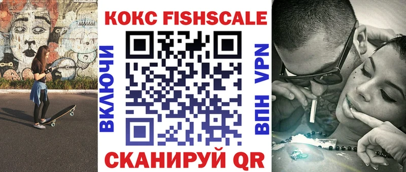 Купить закладки  Сясьстрой  COCAIN 97% 