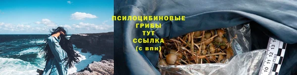 МДМА Карпинск